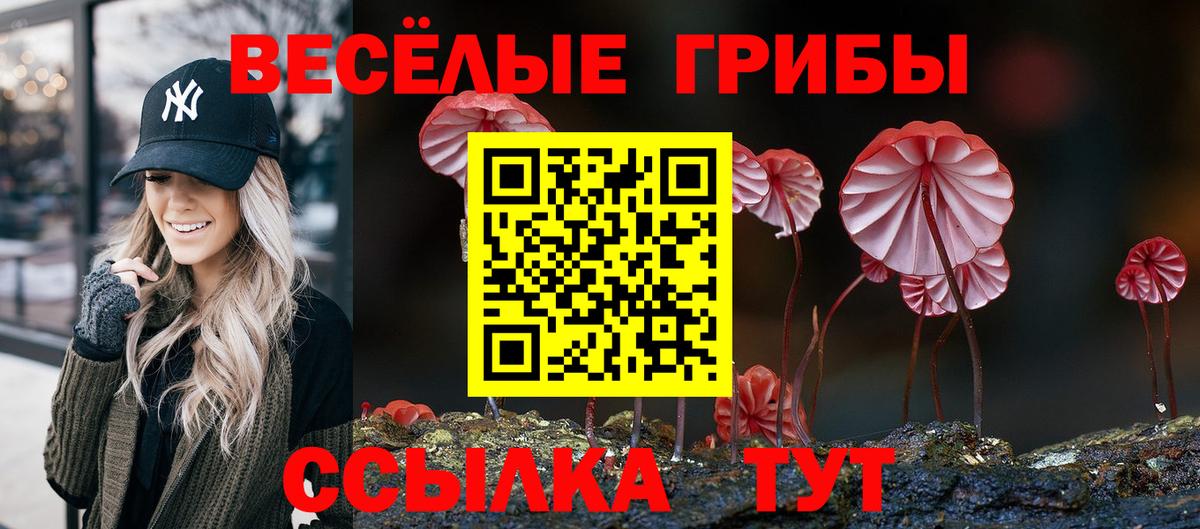 Псилоцибиновые грибы прущие грибы Ейск
