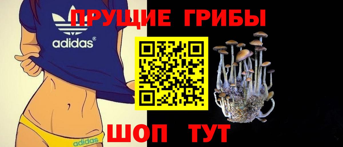 Псилоцибиновые грибы Magic Shrooms  Галлюциногенные грибы GOLDEN TEACHER  Ейск  Вход с VPN 